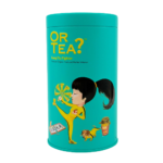 KT0004-Kung Flu Fighter - Biologische kruidenthee - Theeblik